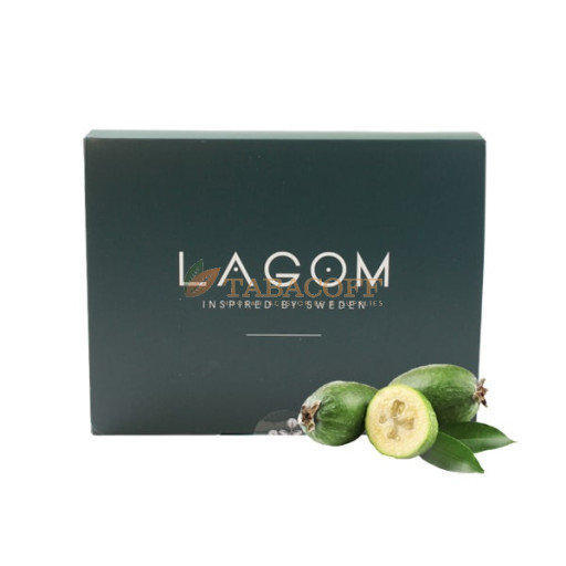 Табак для кальяна Lagom Silva Feijo 40 гр